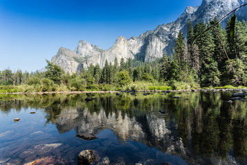 Fototapeta na wymiar A beautiful View in Yosemite National Park