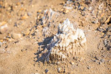 Dead sea, Jordan. Beautiful beach with salt deposits.