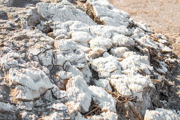 Dead sea, Jordan. Beautiful beach with salt deposits.