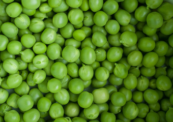Green pea closeup macro. Horizontal photo of peeled peas on the market bench / counter / stand. Vegetable of summer season. 