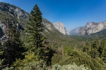 Fototapeta na wymiar A beautiful View in Yosemite National Park