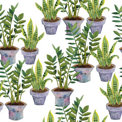 watercolor hand drawn seamless pattern zz plant Zamioculcas sansevieria snake plant mother in law tongue white isolated background natural indoor interior flowers pastel realistic green urban jungle