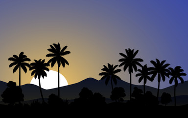 silhouette of palm trees