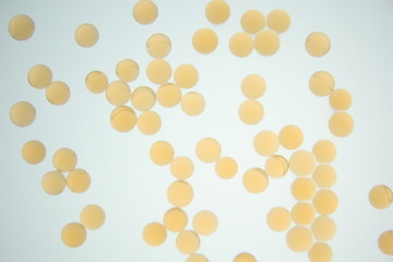 ツブツブ　オレンジ