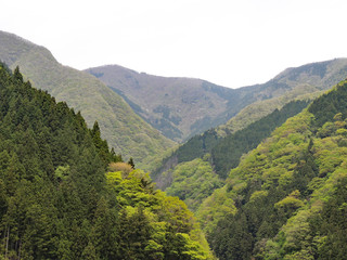 Fototapeta na wymiar Range of Mountains with fresh leaves
