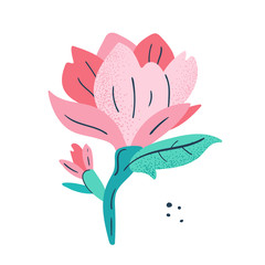 Little pink magnolia. Flowers, flora design elements. Wild life, nature, blooming flowers, botanic. Flat colourful vector illustration icon sticker isolated on white background.