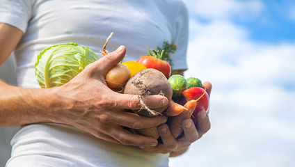 Man farmer with homemade vegetables in his hands. Selective focus.