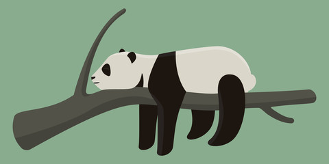 Panda sleeping on branch. Cute animal in cartoon style.