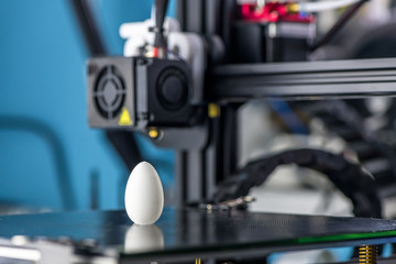 white plastic model of egg printed on a 3D printer