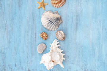 Fototapeta na wymiar beach scene concept with sea shells and starfish on blue wooden backdrop