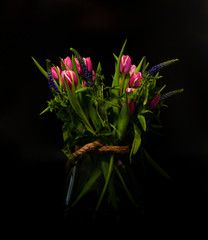 dutch tulips still life
