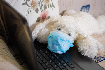 Sad plush fluffy white dog poodle in a protective mask. The dog was protected from the virus by a mask and education and working online, makes shopping over the Internet 