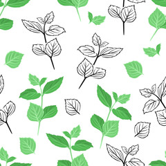 Mint leaf seamless pattern. Vector color illustration of green herb on  white background. Black and white outline. Peppermint leaves.