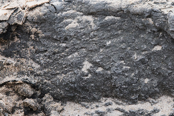 Black soil texture, chernozem with sand, grunge background.