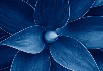 Ultraviolettes abstraktes natürliches Blumenmuster mit Blumen