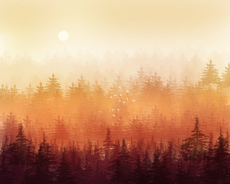 Beautiful illustration of foggy coniferous forest on a sunny day. Horizontal forest landscape with green colors