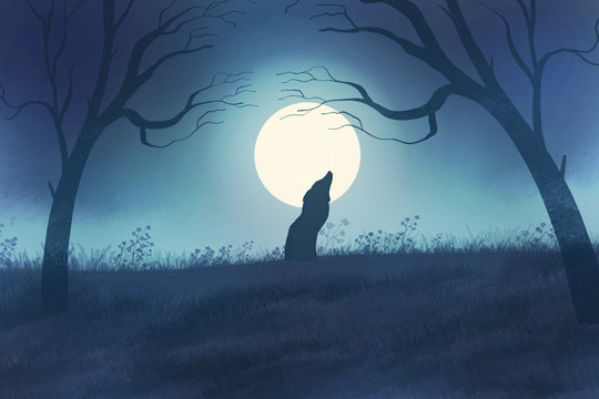Abstract illustration of a night forest with a wolf howling at the moon. Night forest landscape.