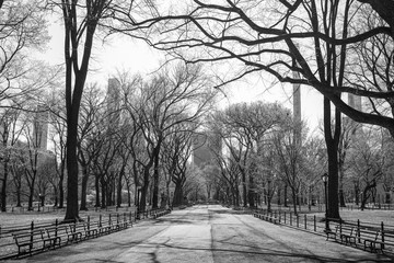 The Mall and Literary Walk in Central Park New York City, during covid-19 pandemic. New Yorkers...