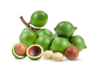 macadamia nuts isolated on white background