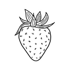 Single black and white illustration of a strawberry on a white background. Vector close-up illustration of strawberry for your design. Isolated object.