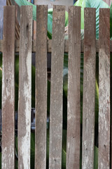 wooden fence