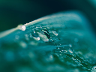 water drops on blue surface