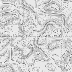 Topographic contour map on white background. Vector grid map.