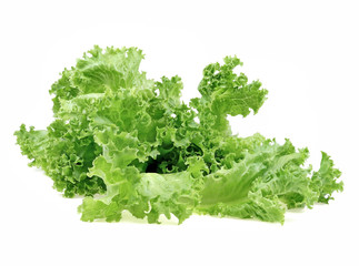 salad leaf. lettuce isolated on white background