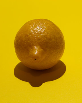 Vibrant lemon fruit frontal view in studio light.