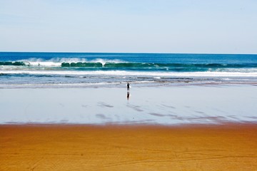 Surfista en una playa con oleaje