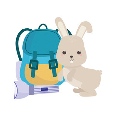 camping cute rabbit and backpack cartoon isolated icon design