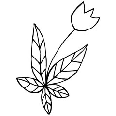 Colorful black and white pattern for coloring. Daisy flower illustration.