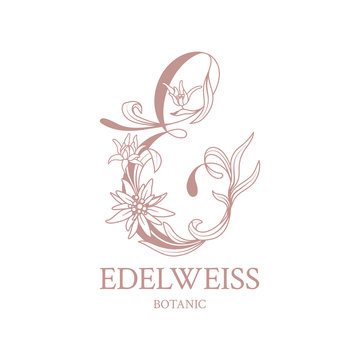 Edelweiss. Floral logo with elegant letter E. Drawn emblem for floral shops or studios, wedding florists, brand name, restaurant, boutique, hotel. Vector stock illustration on a white background.