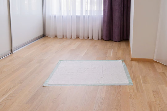 Pee diaper pads for puppy on floor in room. Waterproof pet pads for protecting flooring surface