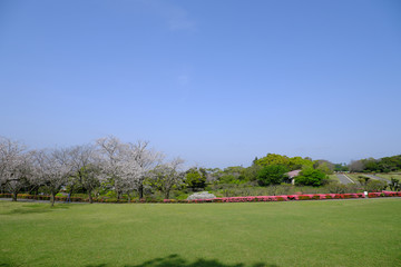 リラックス空間を求める癒しの公園