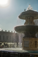ptak siedzący na fontannie, Plac Świętego Piotra, Watykan, Włochy - obrazy, fototapety, plakaty