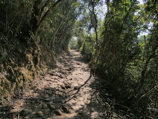 Hong Kong Dragon's Back hiking trail