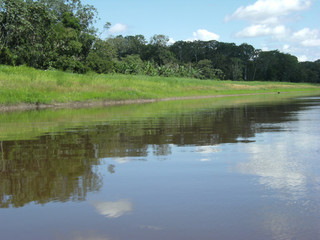 Fototapeta premium amazon river