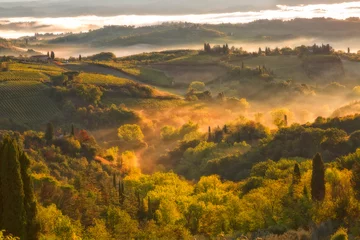 Fotobehang Landscape with a morning fog and vineyards in the vicinity of the city of San Gimignano, Tuscany © Shchipkova Elena