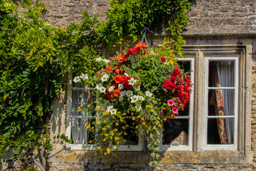 Beautiful hanging flowers outside window of vintage stone house with vines surrounding it
