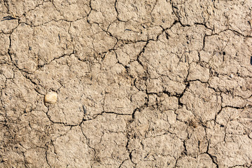 Desiccation cracks in dry earth. A natural disaster caused by drought. Climate changes.