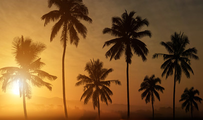 Naklejka na ściany i meble Silhouette of palm trees at sunset background.