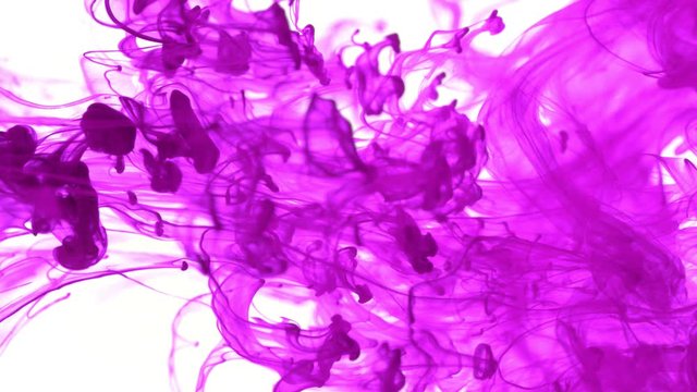 Super slow motion of coloured inks in water. Isolated on white background. Filmed on high speed cinema camera