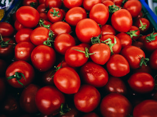 Lot of red tomatoes in a blue box photographed close.
