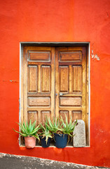 Old wooden door with potted plants in orange painted wall.