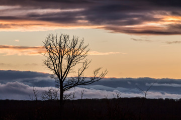 Bourbonnais,Campagne