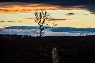 Bourbonnais,Campagne