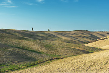 Trees on the tops of hills in autumn weather.