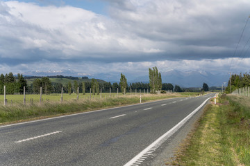 Fototapeta premium road 94 in green country landscape, near Hillside, New Zealand