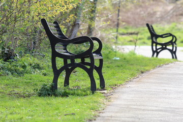 bench in a park in Edinburgh Scotland 